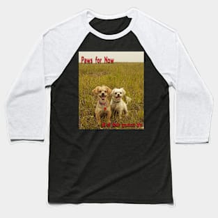 puppies in the field Baseball T-Shirt